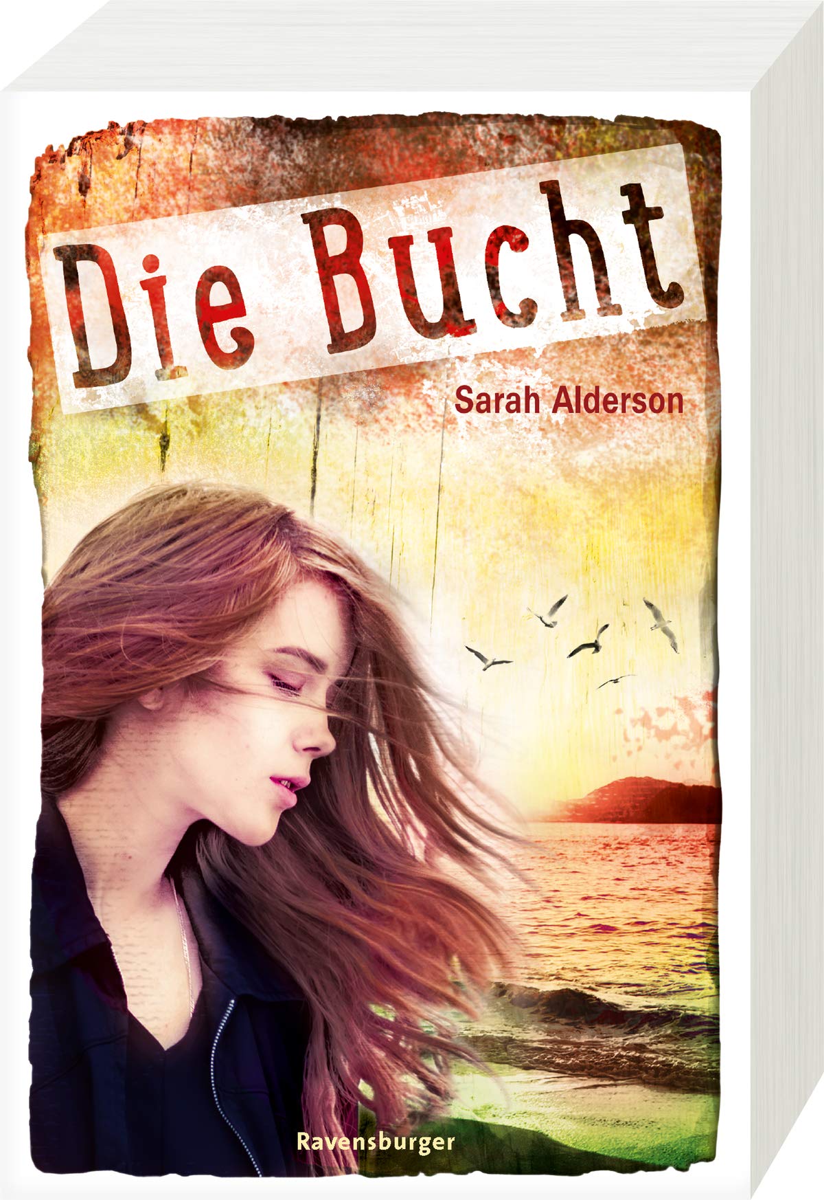 Die Bucht Contemporary literature Books