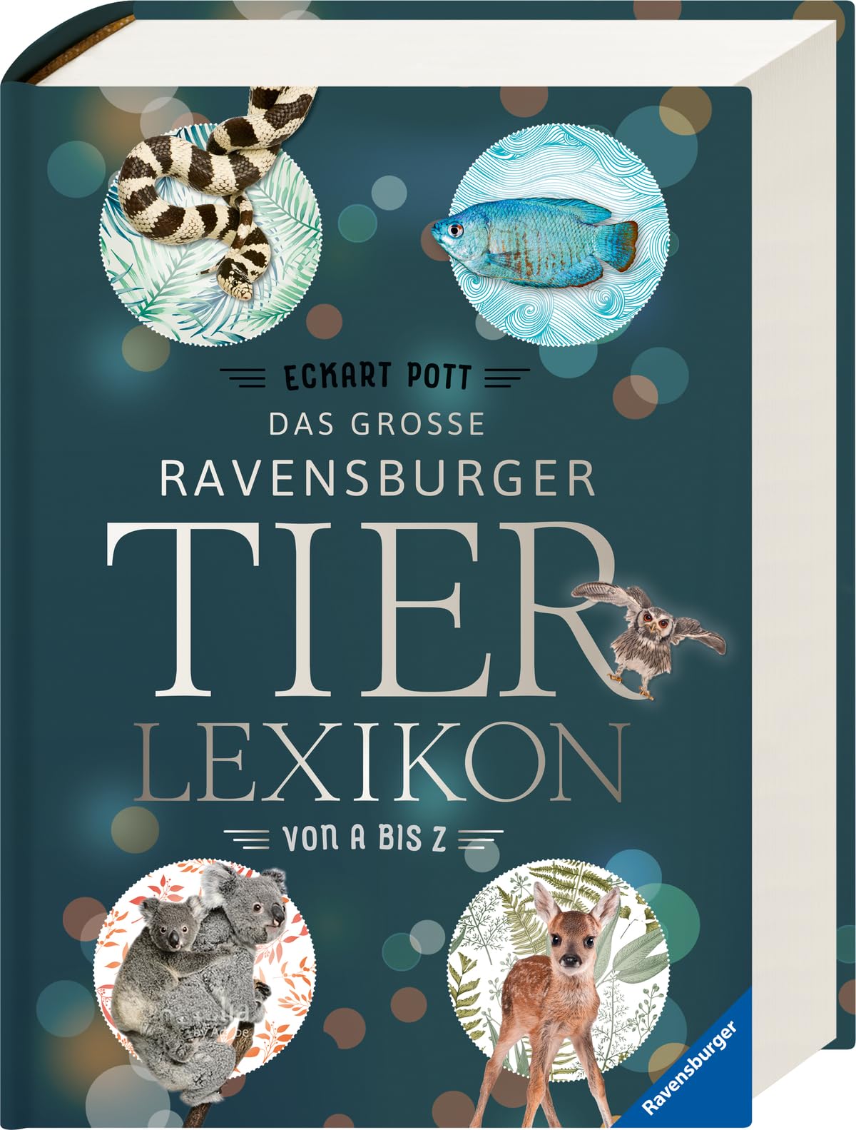 Das große Ravensburger Tierlexikon von A bis Z Natural Sciences