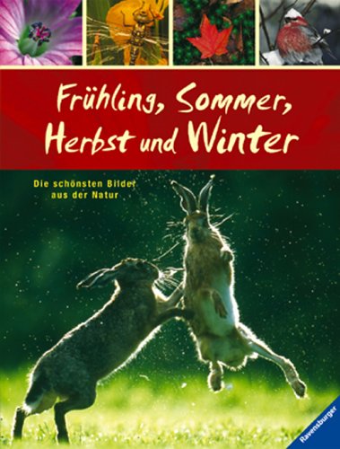 Frühling, Sommer, Herbst und Winter: Die schönsten Bilder aus der Natur Non-fiction