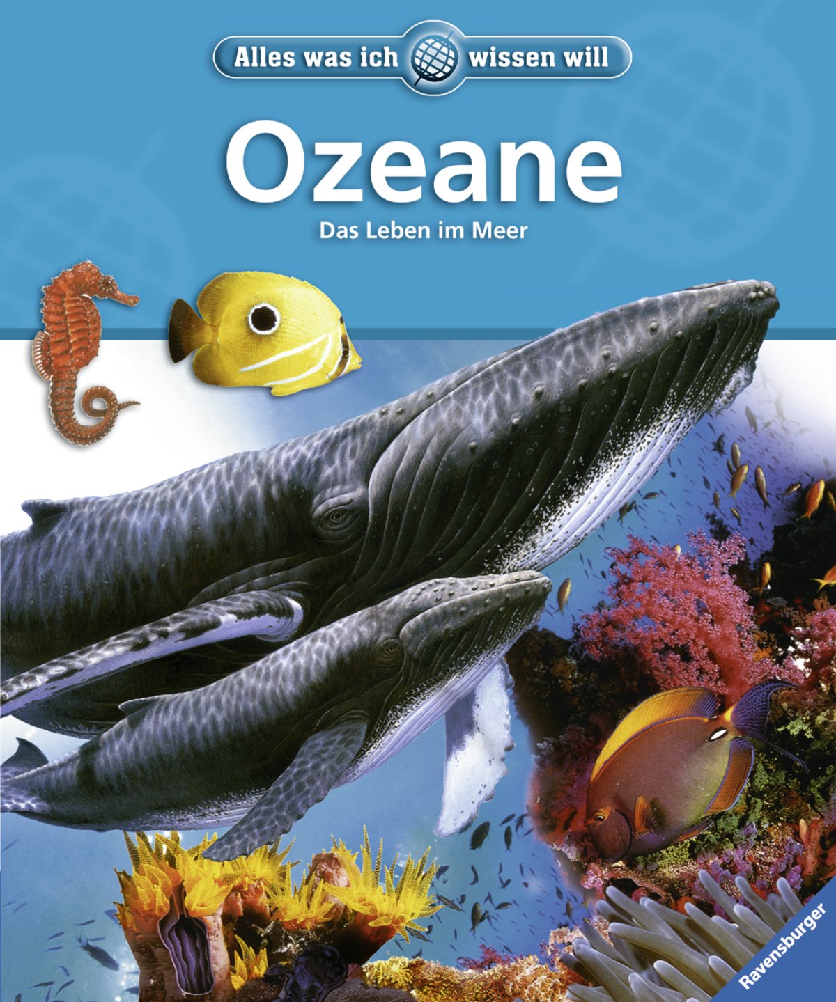Ozeane: Das Leben im Meer (Alles was ich wissen will) Essays & Short Stories