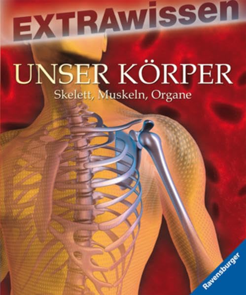Unser Körper: Skelett, Muskeln, Organe (EXTRAwissen) Essays & Short Stories