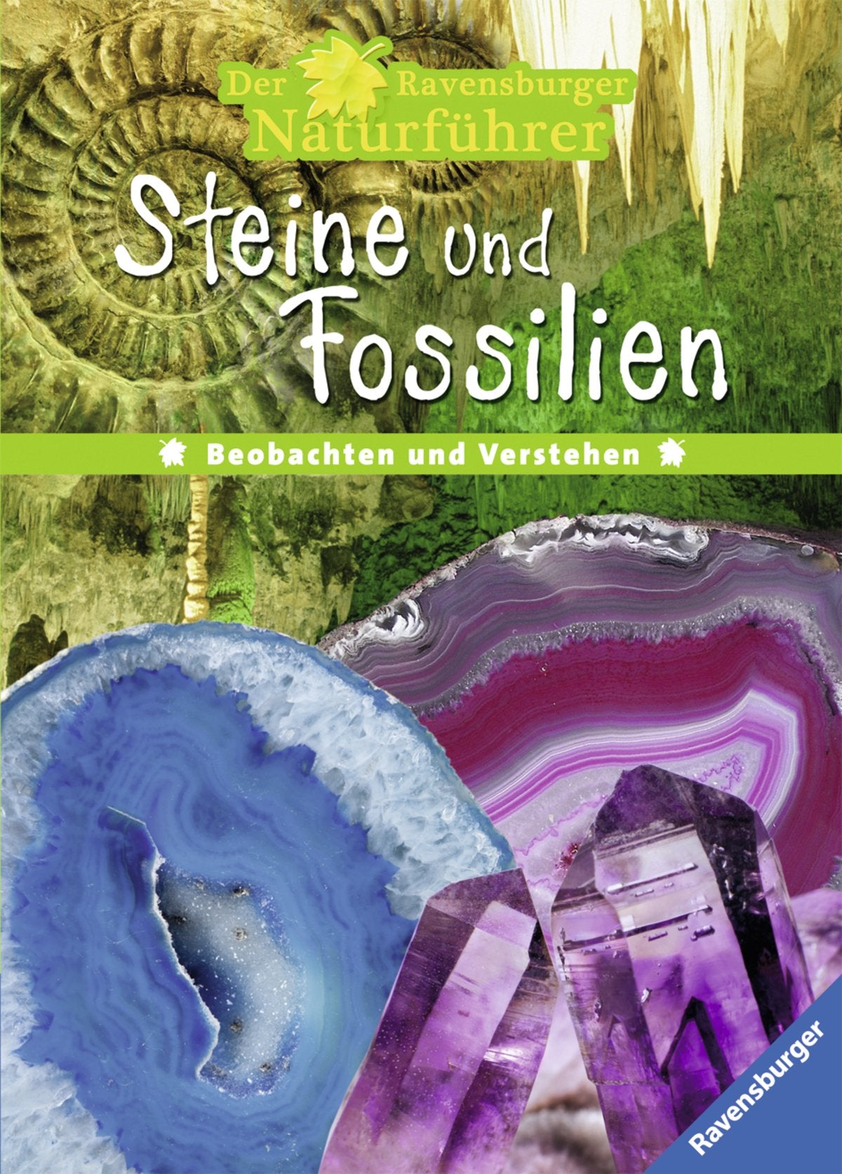 Steine und Fossilien: Beobachten und Verstehen (Der Ravensburger Naturführer) Natural Sciences
