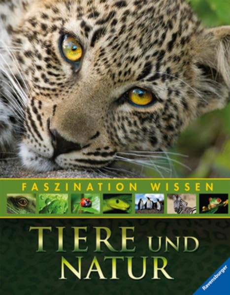 Faszination Wissen: Tiere und Natur: Säugetiere; Tiere der Wildnis; Vögel; Pflanzen.4 Bände in einem Band Non-fiction