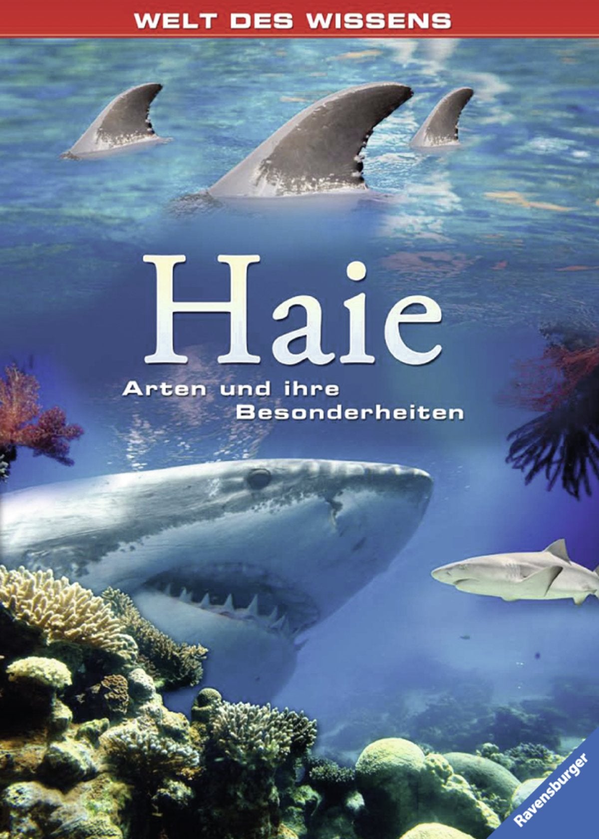 Haie: Arten und ihre Besonderheiten (Welt des Wissens) Non-fiction
