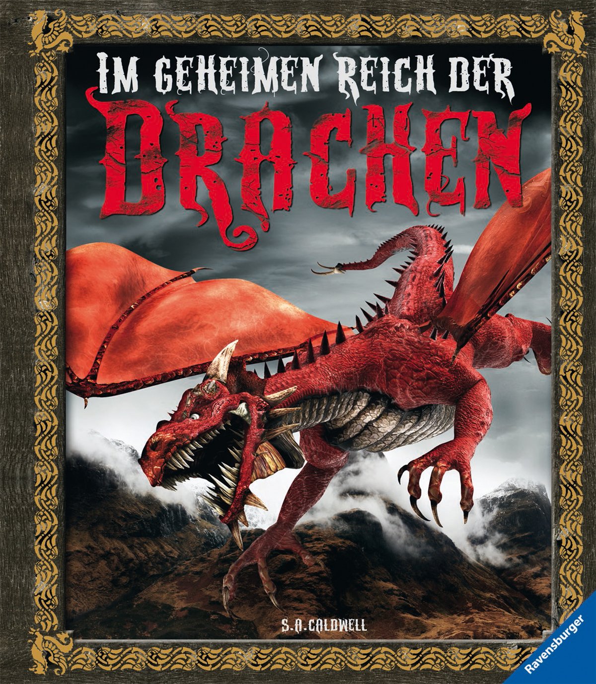 Im geheimen Reich der Drachen Non-fiction