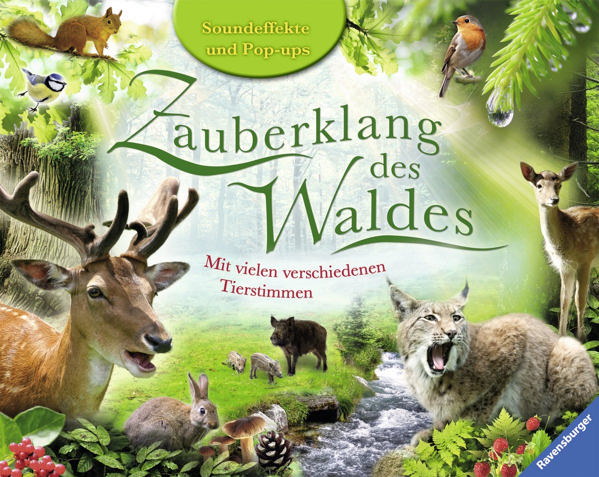 Zauberklang des Waldes: Mit vielen verschiedenen Tierstimmen Non-fiction