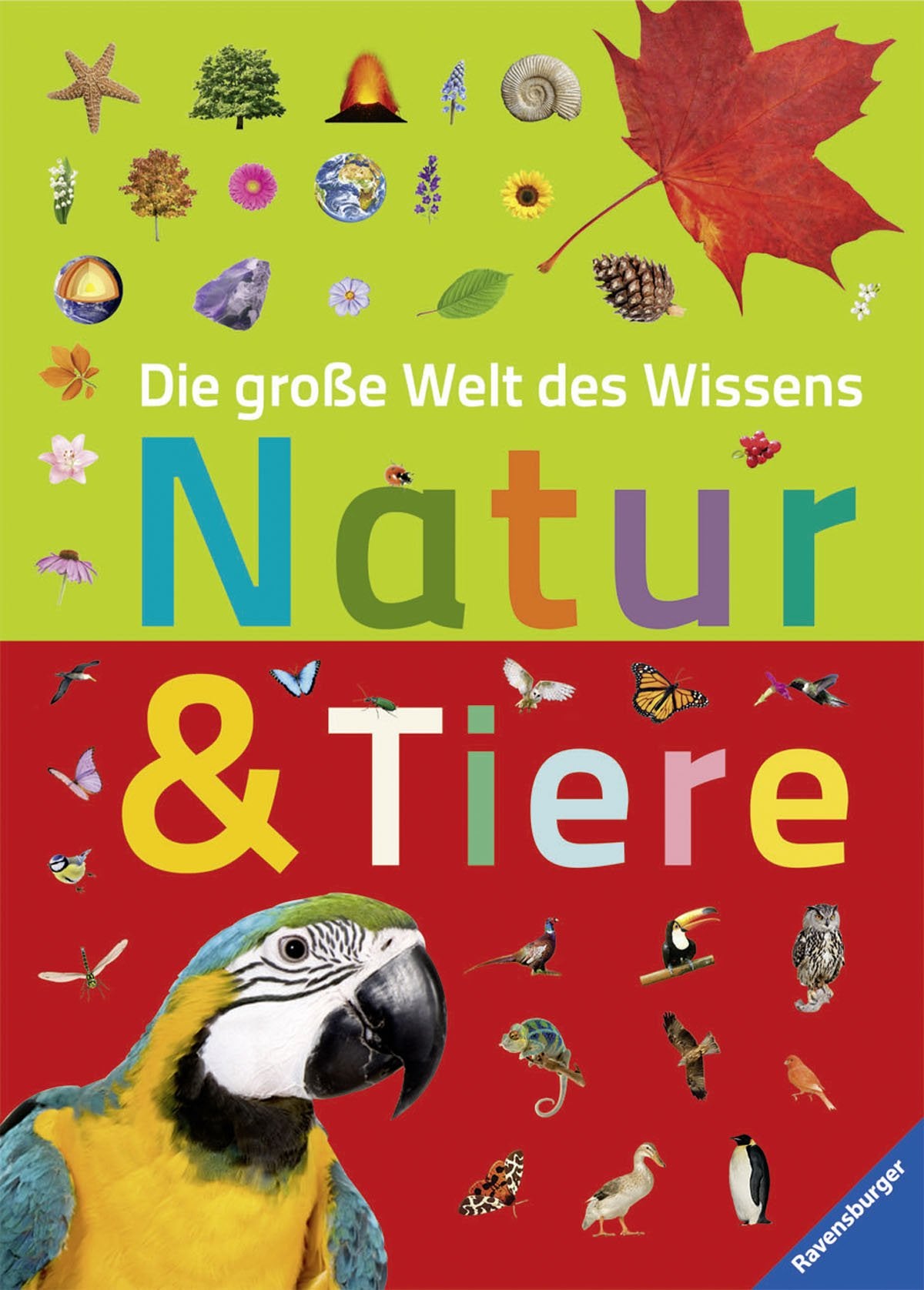 Die große Welt des Wissens: Natur und Tiere Non-fiction