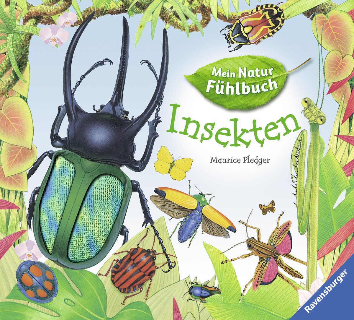 Insekten (Mein Natur-Fühlbuch) Natural Sciences