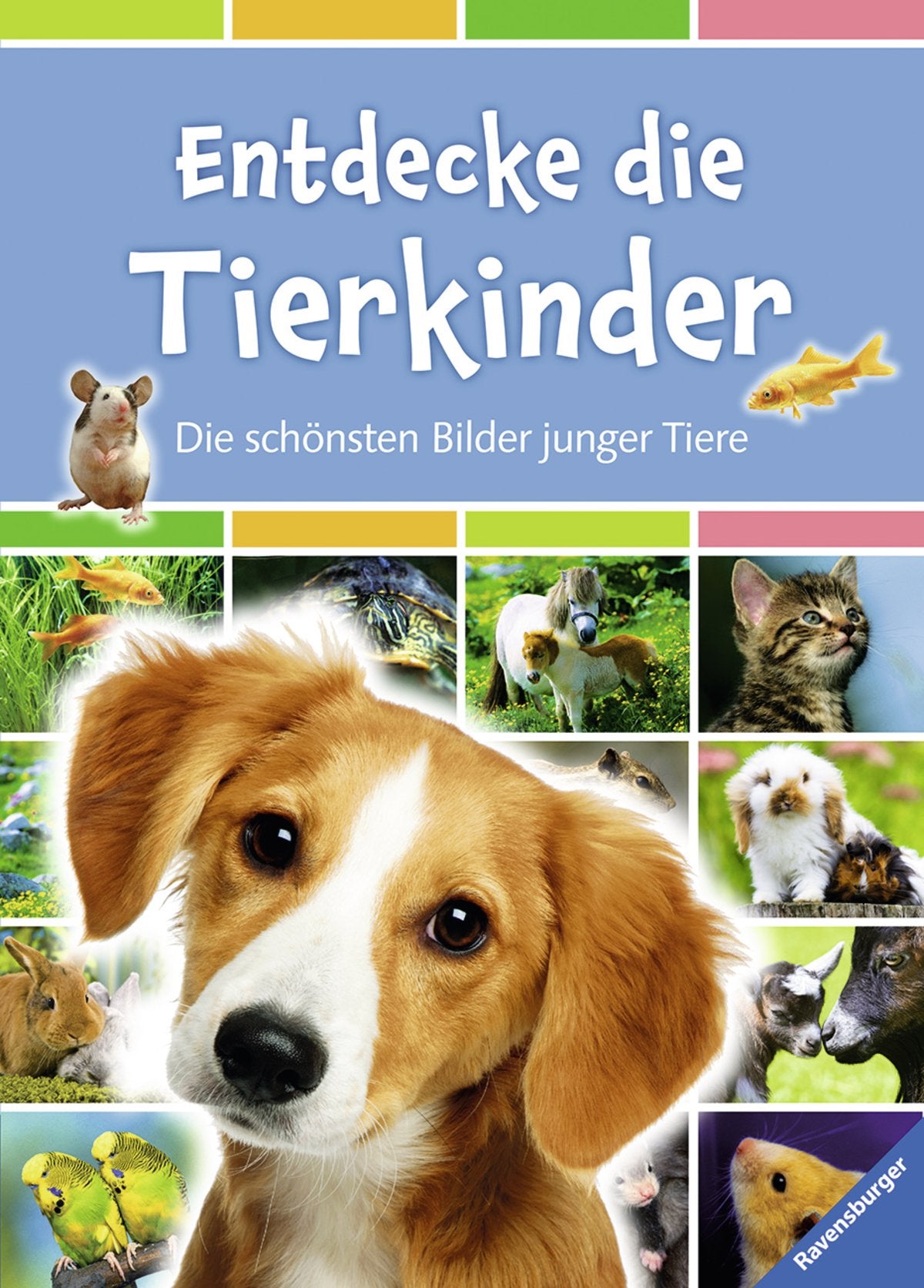 Entdecke die Tierkinder Natural Sciences Books