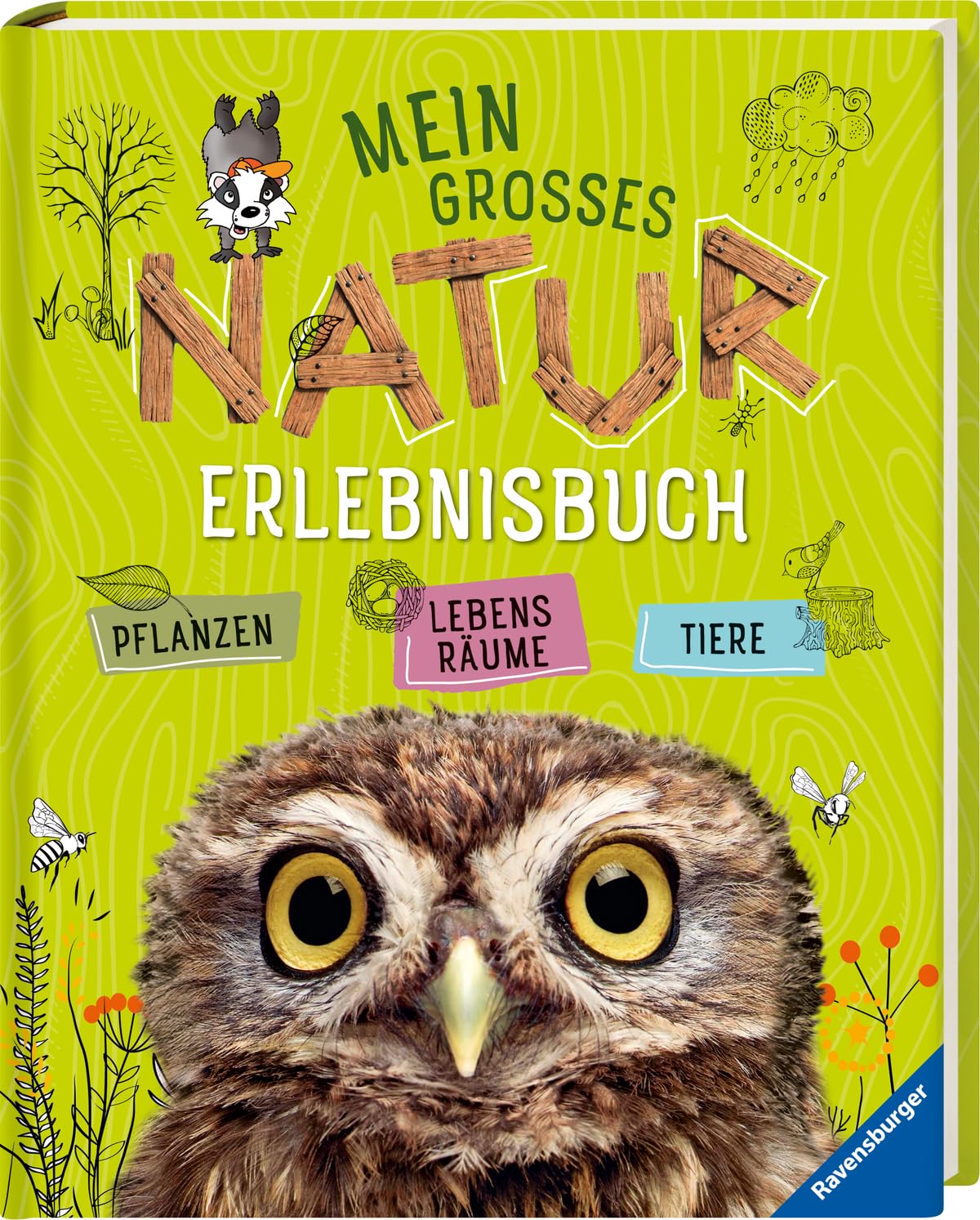 Mein großes Natur-Erlebnisbuch Natural Sciences