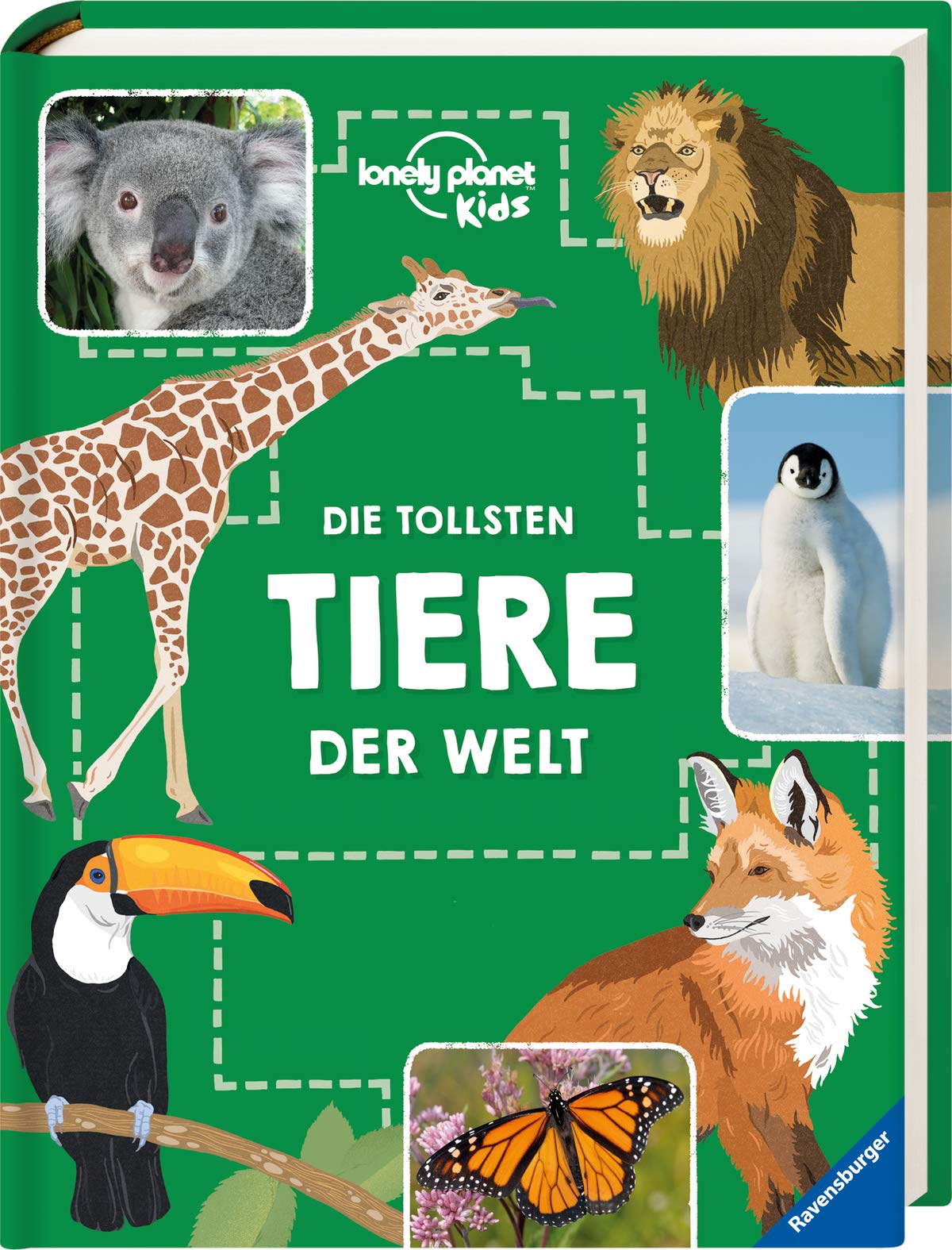 Product Image: Die tollsten Tiere der Welt