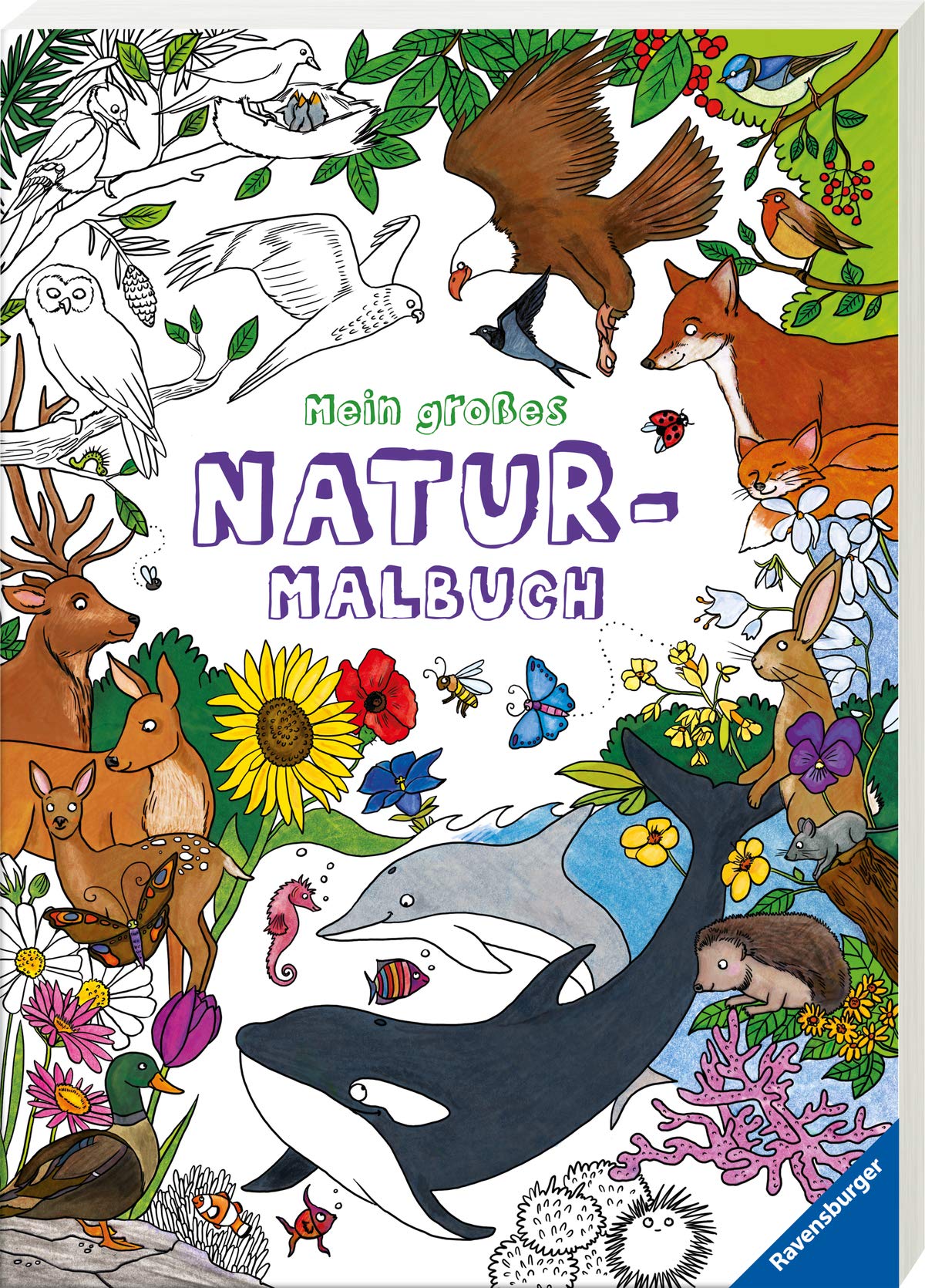 Mein großes Natur-Malbuch Tiptoi & Games
