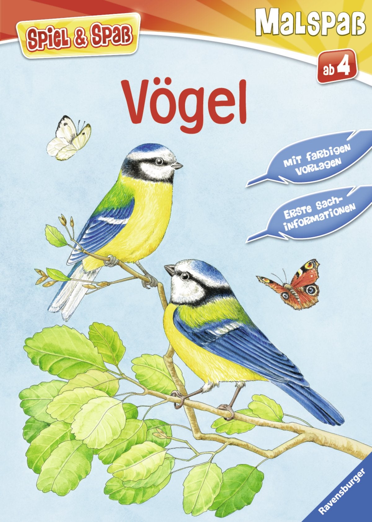Vögel (Spiel & Spaß - Malspaß) Non-fiction