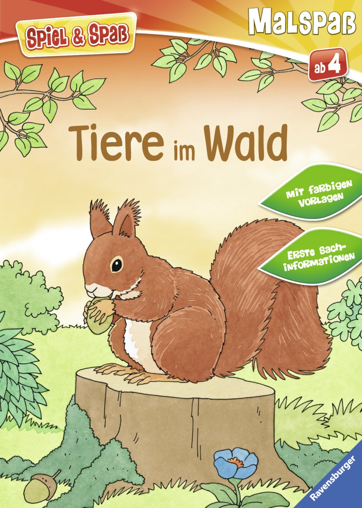 Tiere im Wald: Mit farbigen Vorlagen. Erste Sachinformationen (Spiel & Spaß - Malspaß) Non-fiction