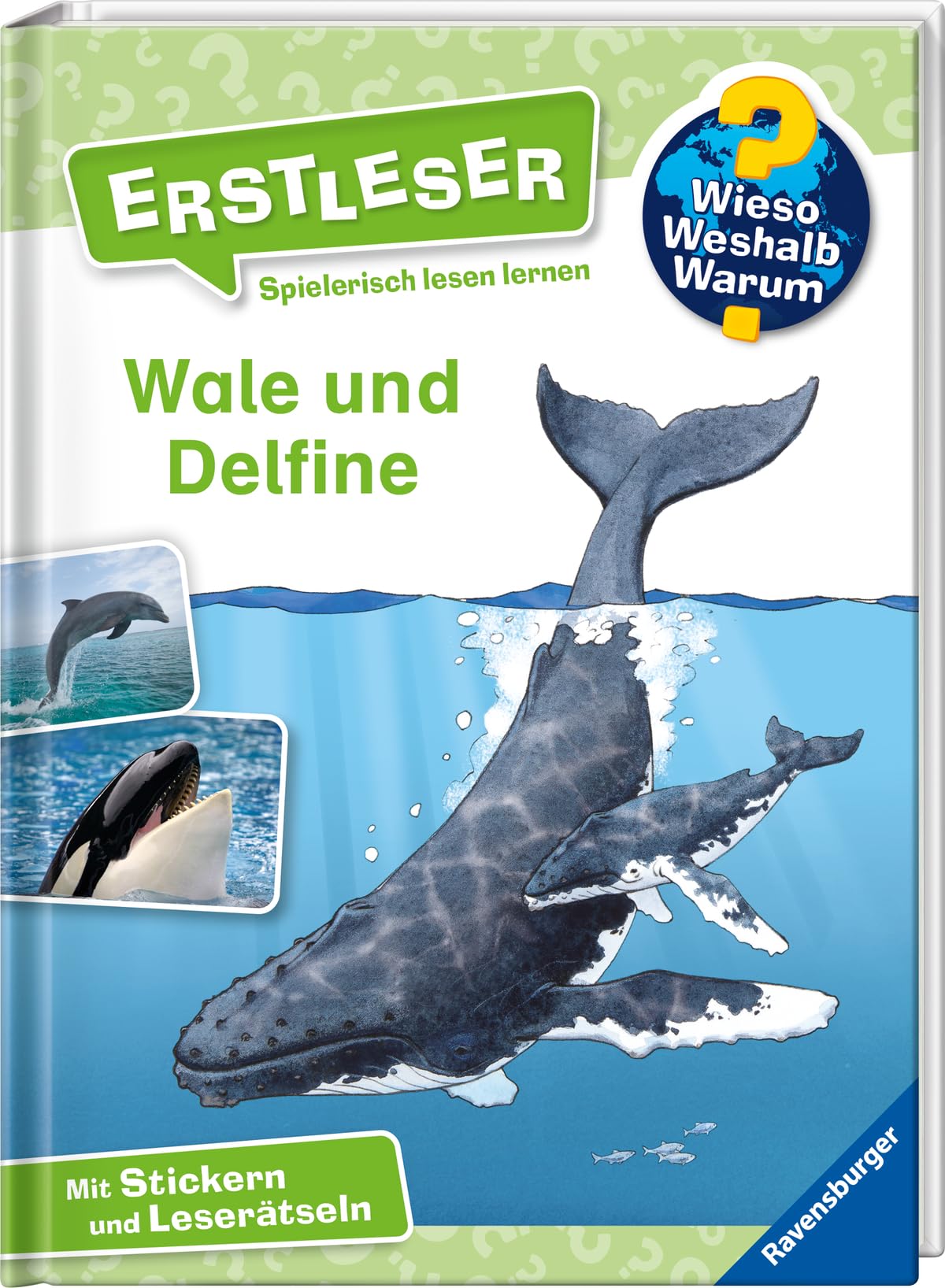Wieso? Weshalb? Warum? Erstleser: Wale und Delfine (Band 3) Business & Technology