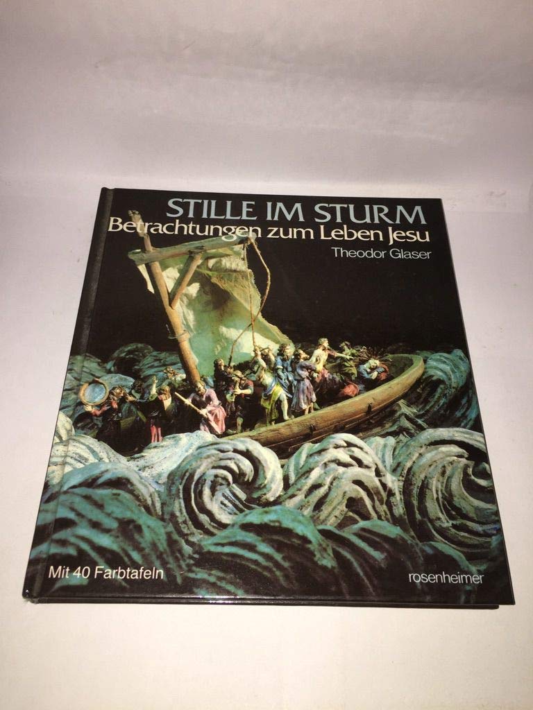 Stille im Sturm. Betrachtungen zum Leben Jesu Religion & Esotericism