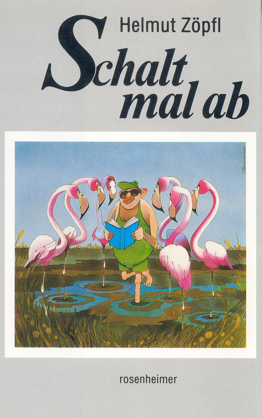 Schalt mal ab: Satirisches und Allzumenschliches Humour & Satire