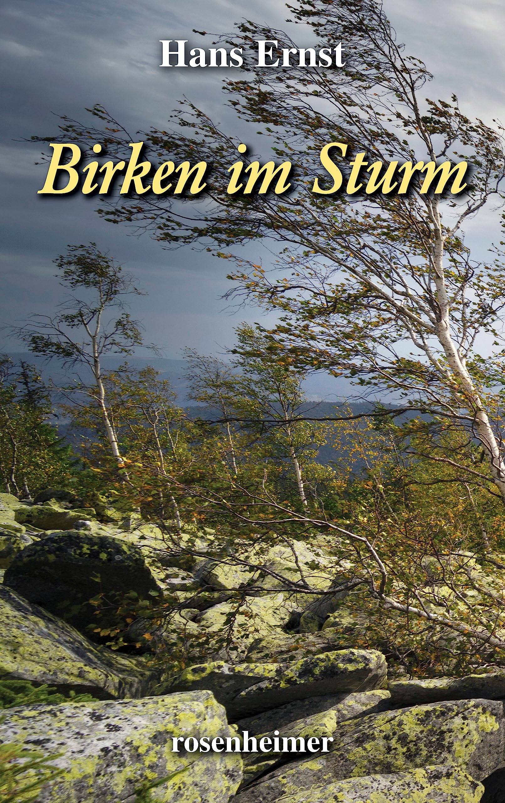 Product Image: Birken im Sturm
