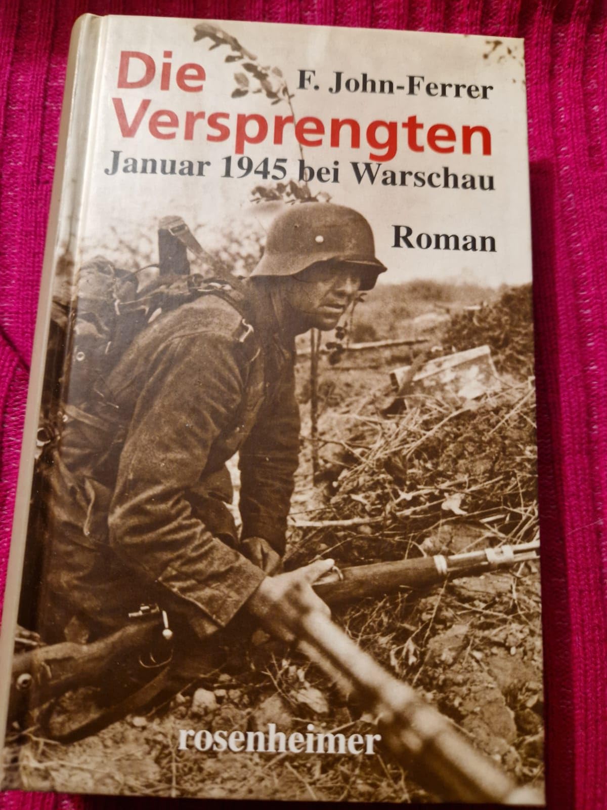 Die Versprengten: Januar 1945 bei Warschau Politics & History