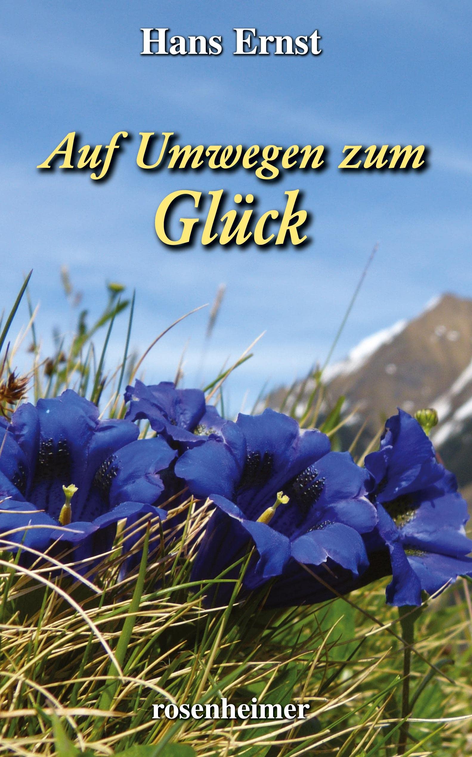Auf Umwegen zum Glück: Roman Contemporary literature