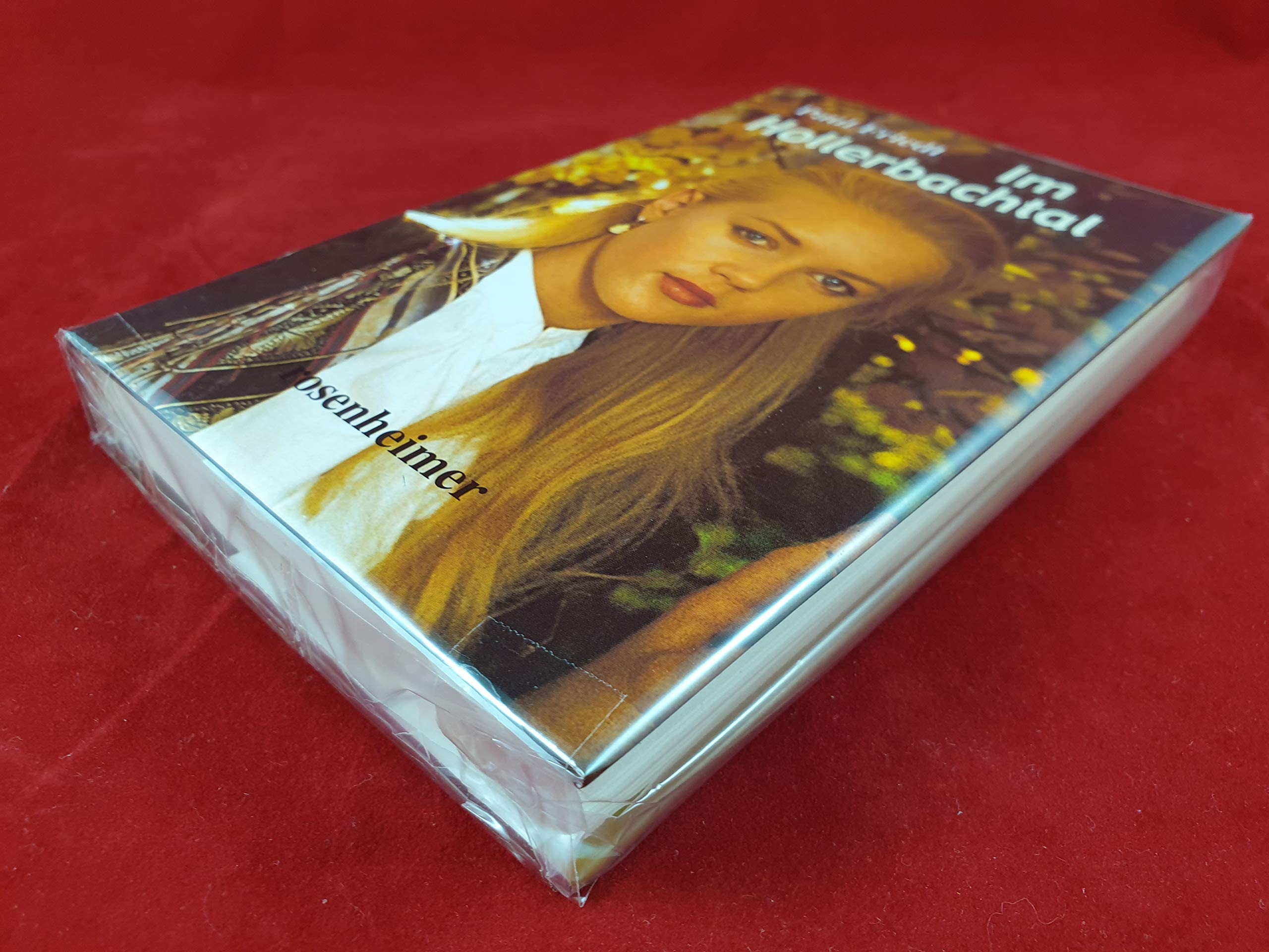 Im Hollerbachtal Fiction Books