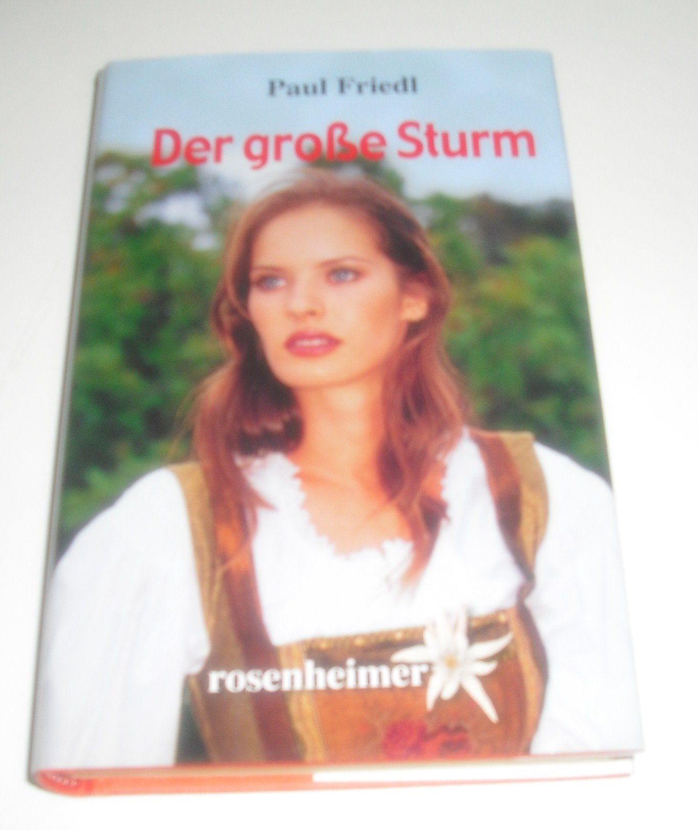 Der große Sturm Books