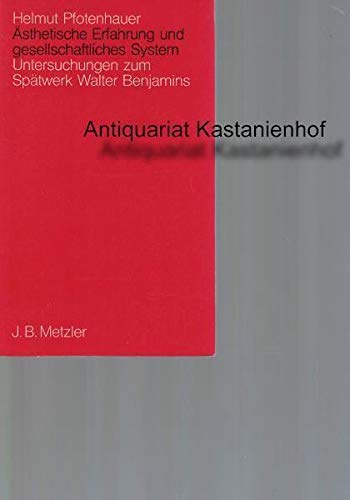 Theodor Fontane. Soziale Romankunst in Deutschland Books