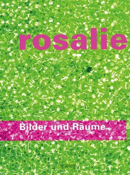 Bilder und Räume: Theater, Malerei, Objekte, Installationen (1979 - 2000) Professional & Reference Books