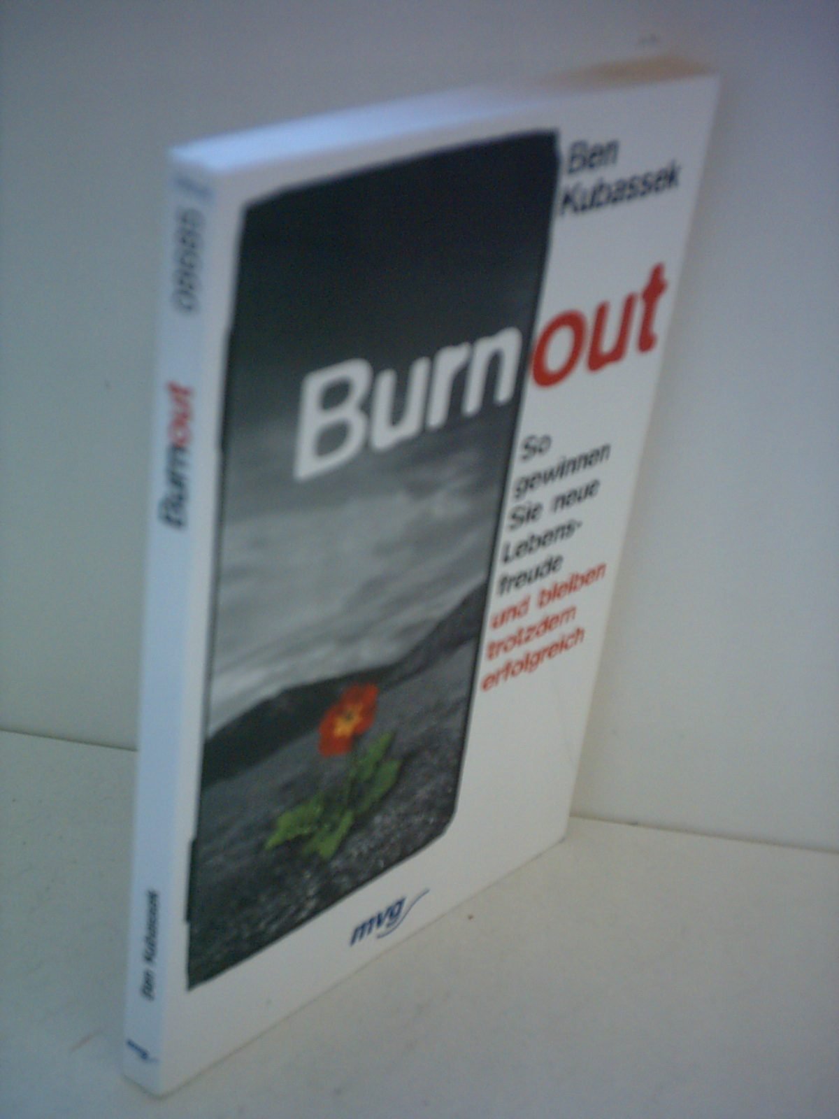 Burnout. So gewinnen Sie neue Lebensfreude und bleiben trotzdem erfolgreich Psychology