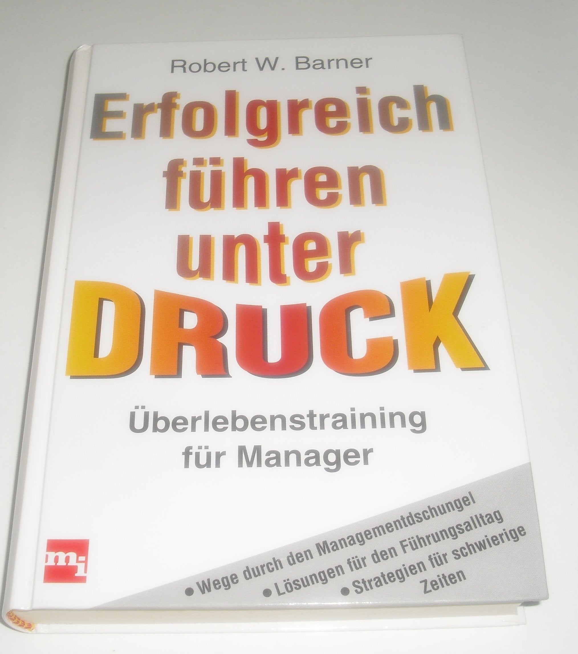 Erfolgreich führen unter Druck. Überlebenstraining für Manager Politics & Society
