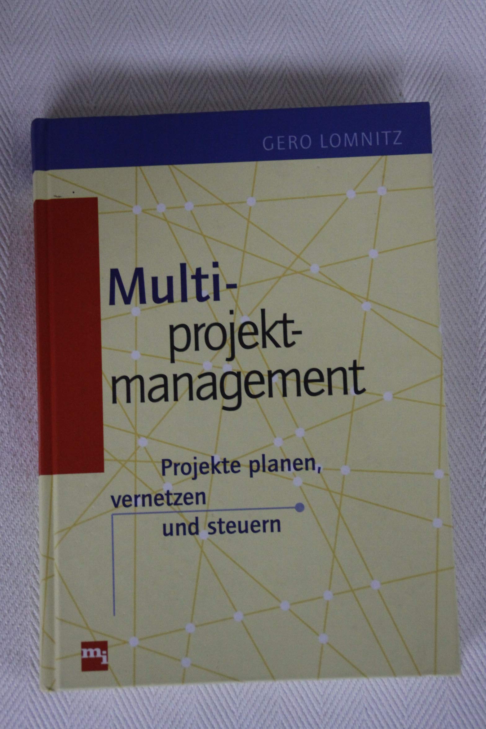 Multiprojektmanagement. Projekte planen, vernetzen und steuern Business, Finance & Career