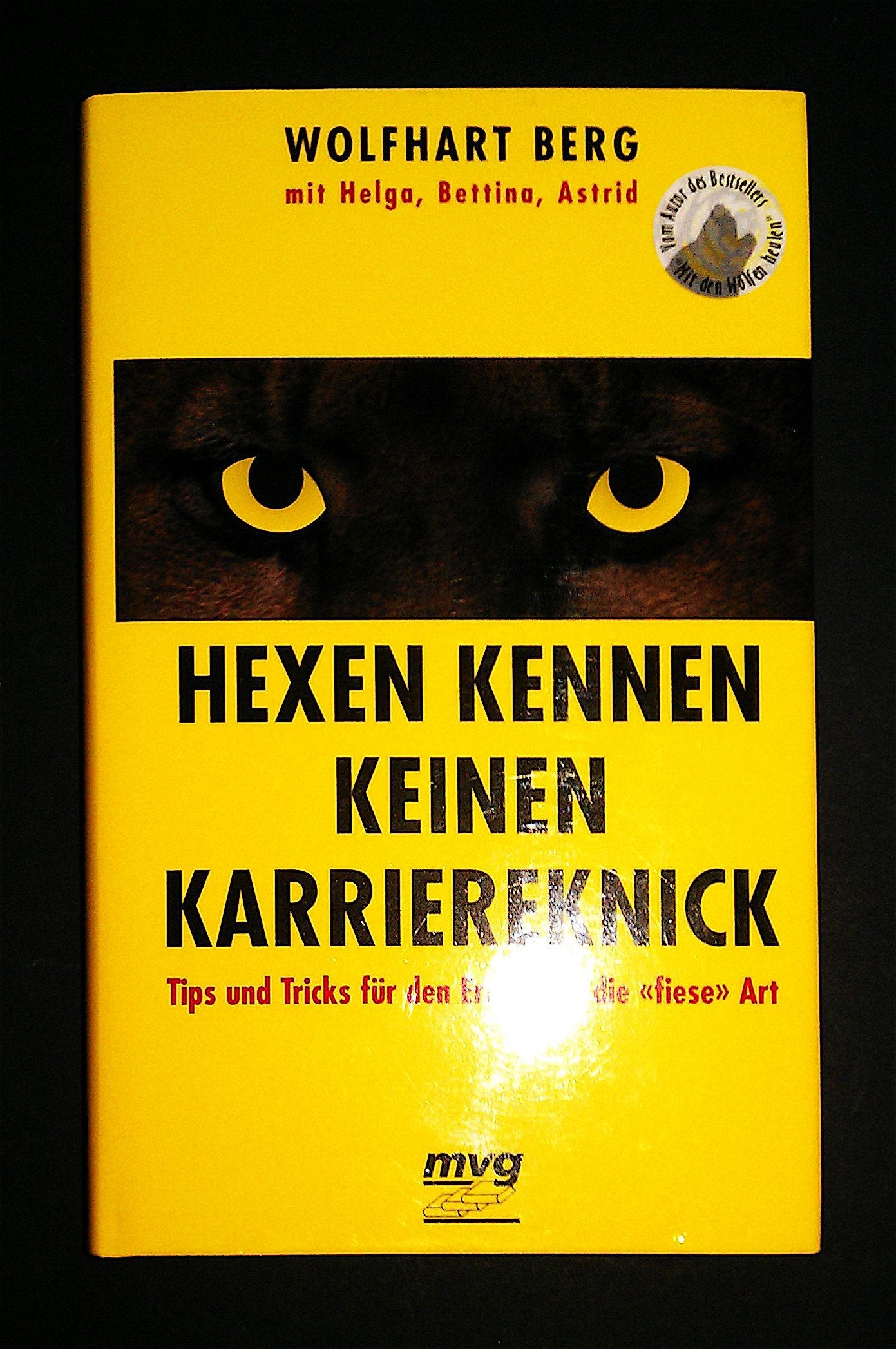 Hexen kennen keinen Karriereknick. Tips und Tricks für den Erfolg auf die "fiese" Art Business, Finance & Career