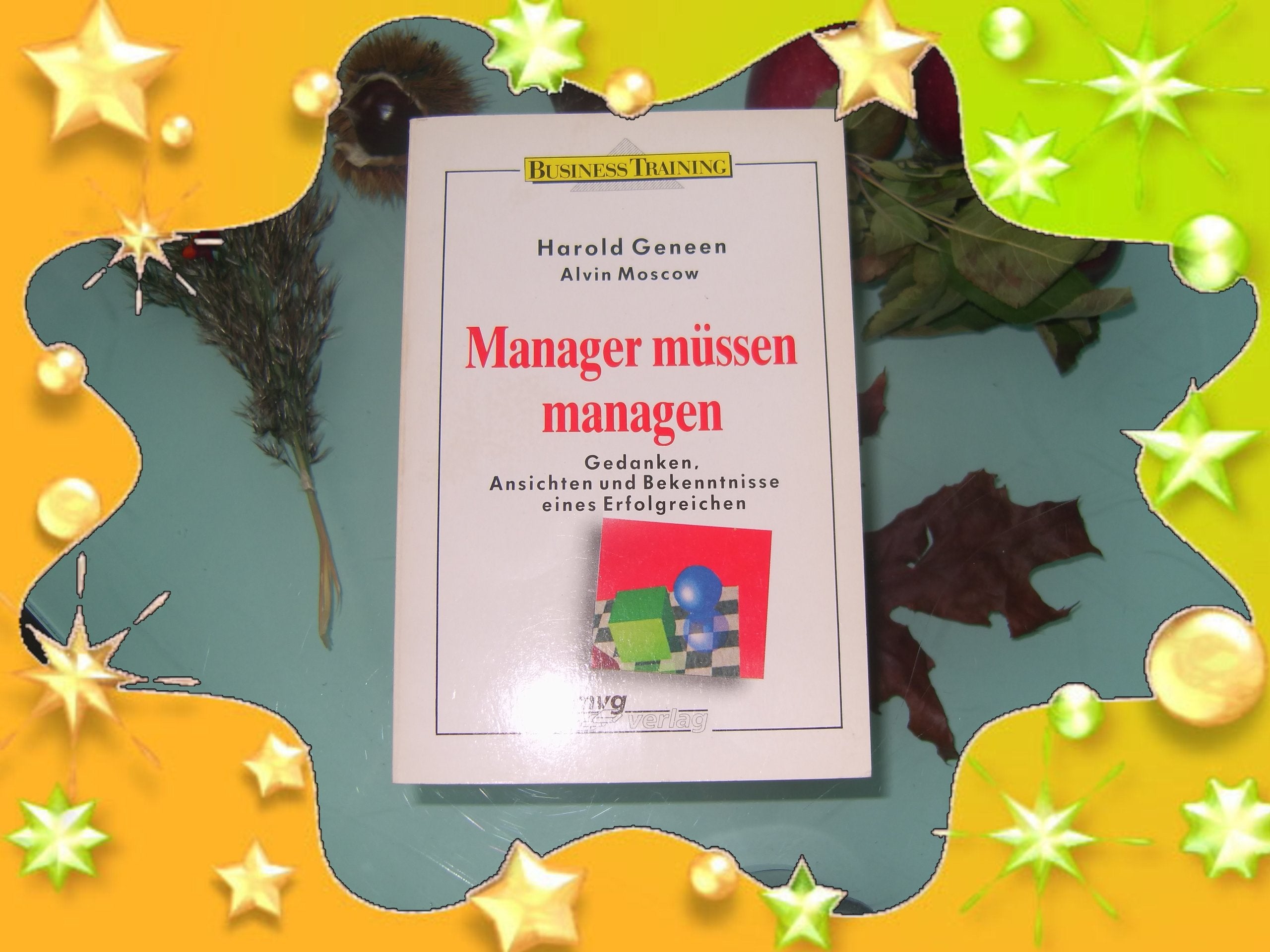 Manager müssen managen. Gedanken, Ansichten und Bekenntnisse eines Erfolgreichen Books
