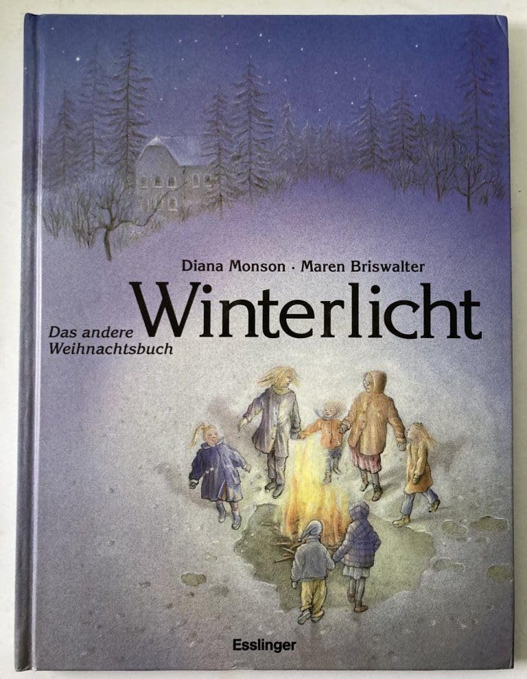 Winterlicht: Das andere Weihnachtsbuch Novels & Short Stories