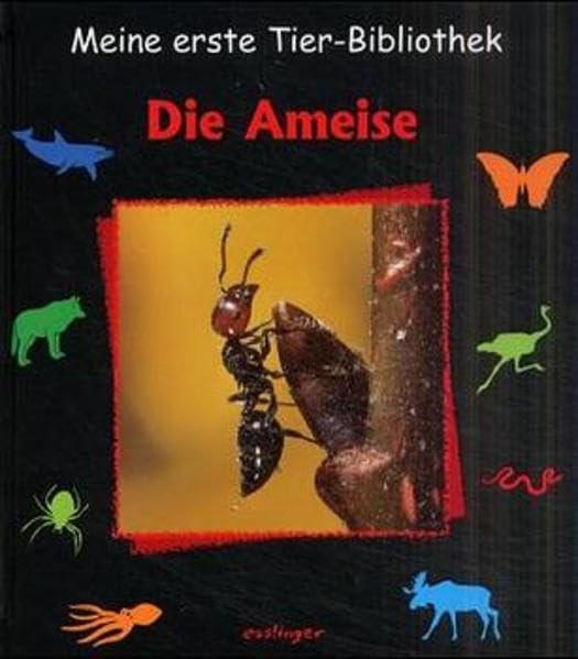 Meine erste Tier-Bibliothek, Die Ameise Non-fiction