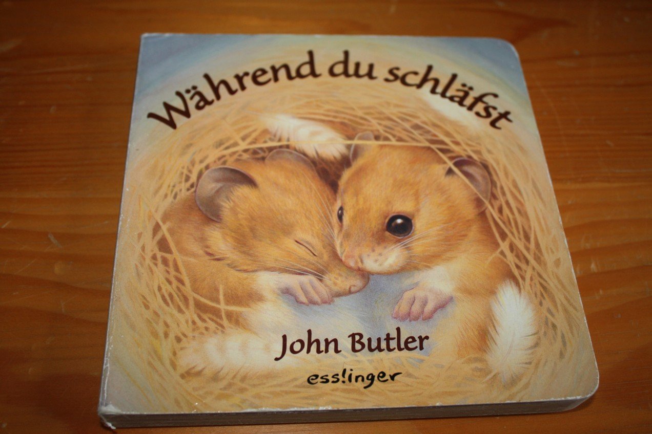 Während du schläfst Books