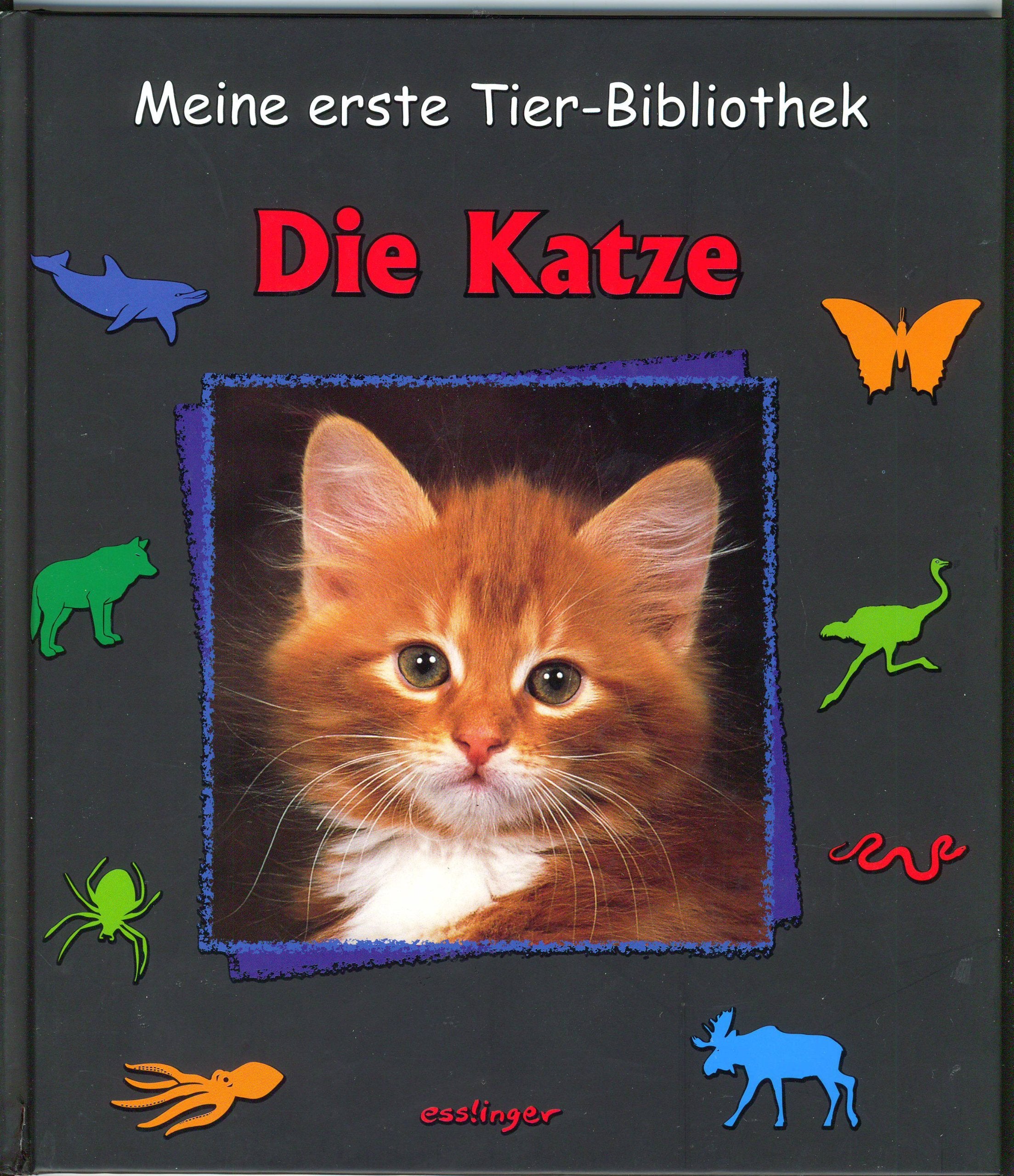 Meine erste Tier-Bibliothek : Die Katze Non-fiction