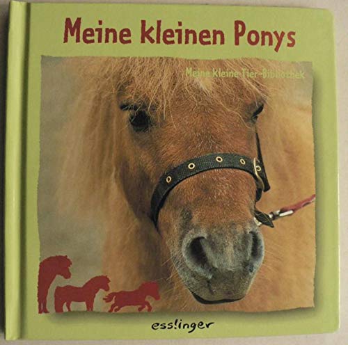 Meine kleinen Ponys (Meine kleine Tierbibliothek) Books