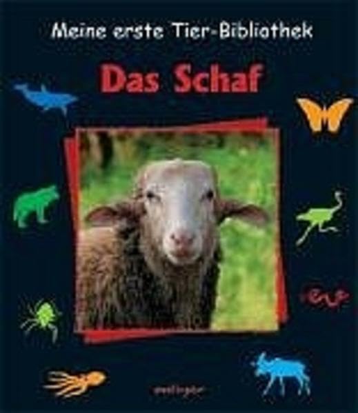 Das Schaf (Meine erste Tierbibliothek) Non-fiction