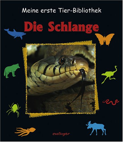 Die Schlange (Meine erste Tierbibliothek) Non-fiction