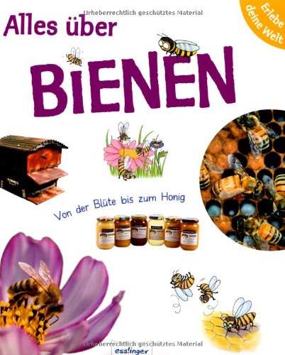 Erlebe deine Welt: Alles über Bienen: Von der Blüte bis zum Honig Non-fiction