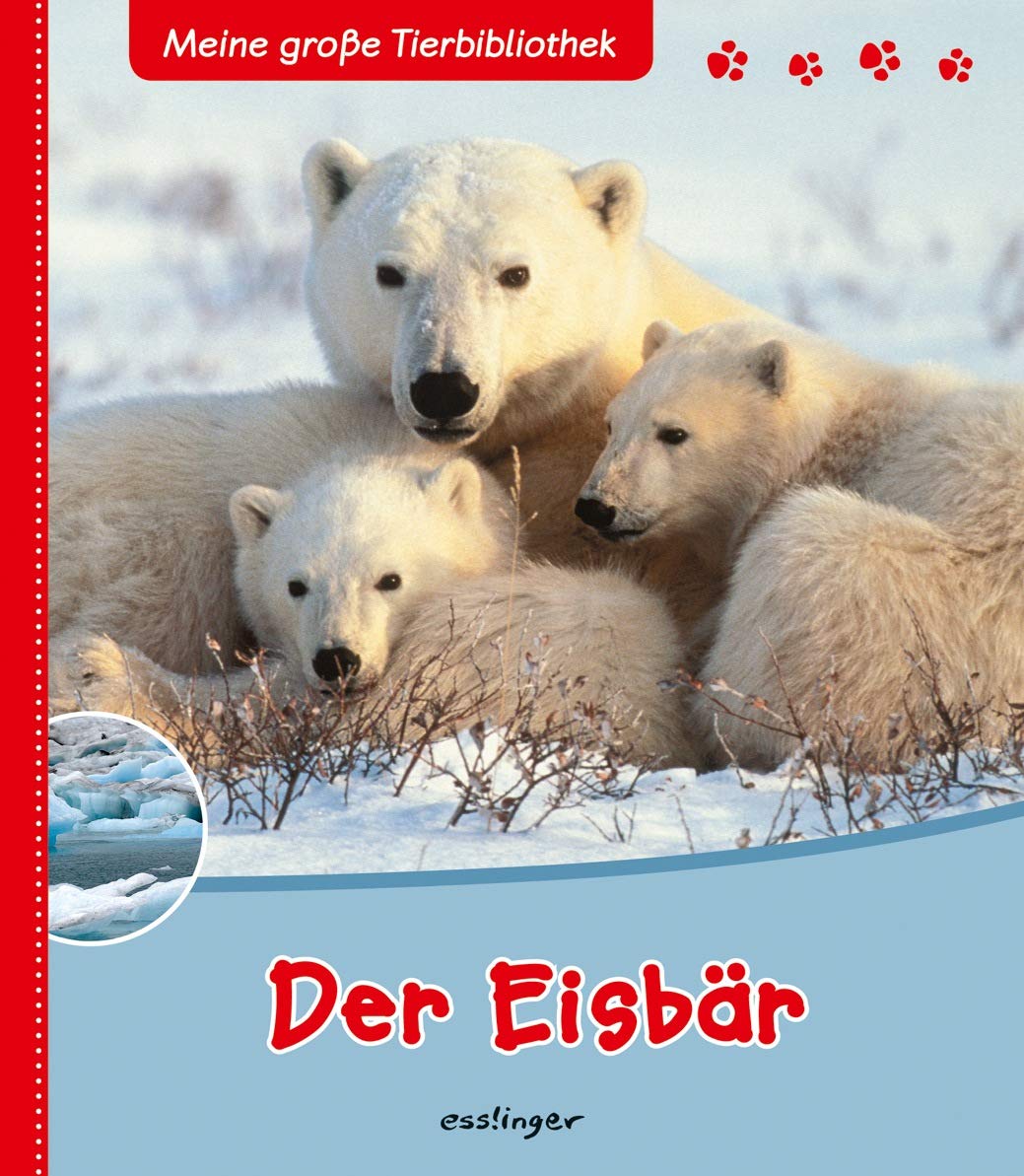 Meine große Tierbibliothek: Der Eisbär Novels & Short Stories