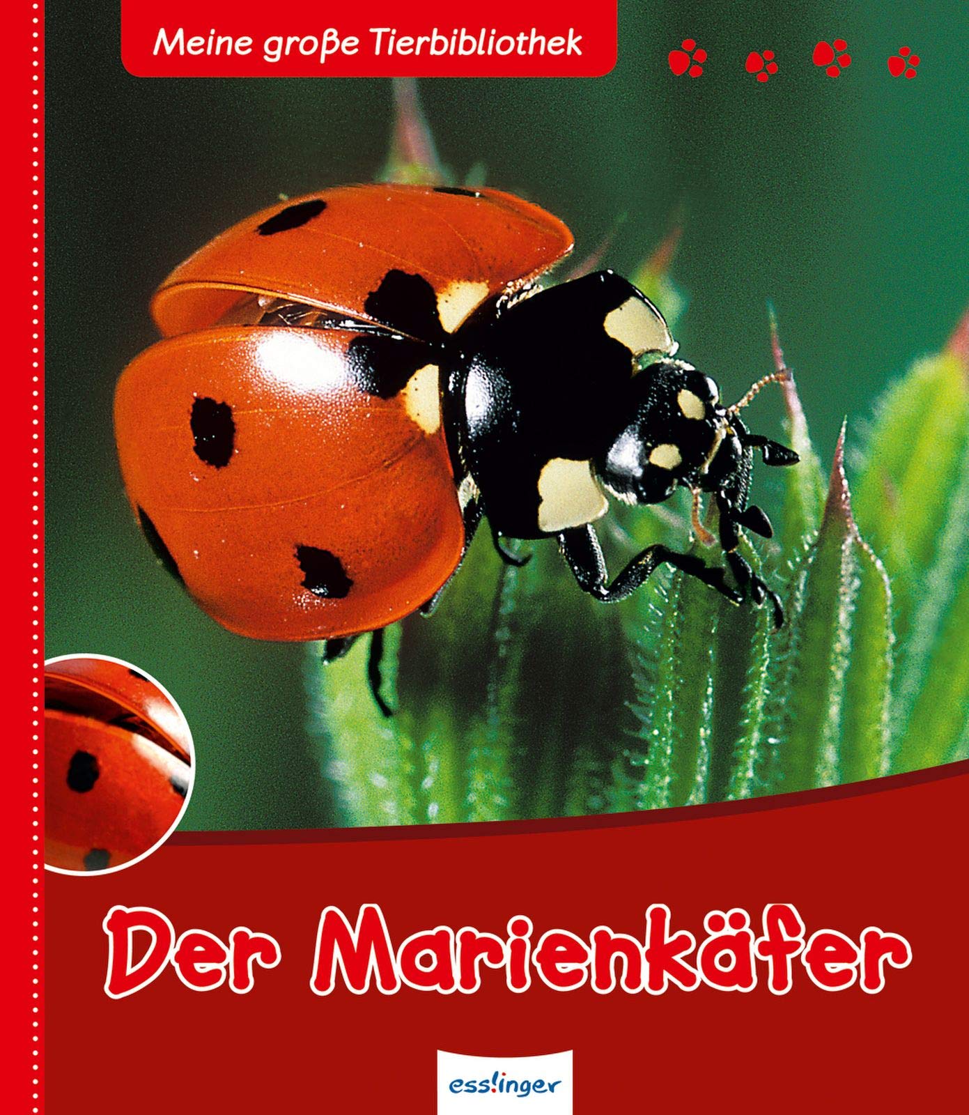 Der Marienkäfer Novels & Short Stories for children