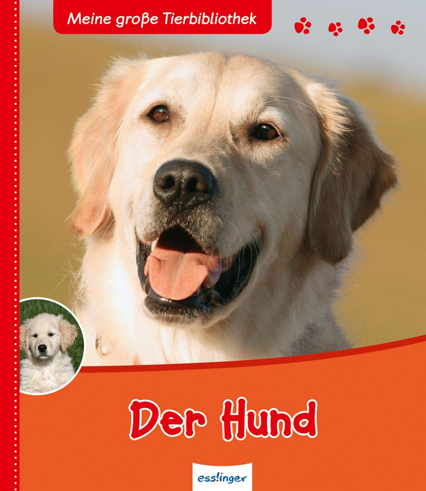 Product Image: Der Hund