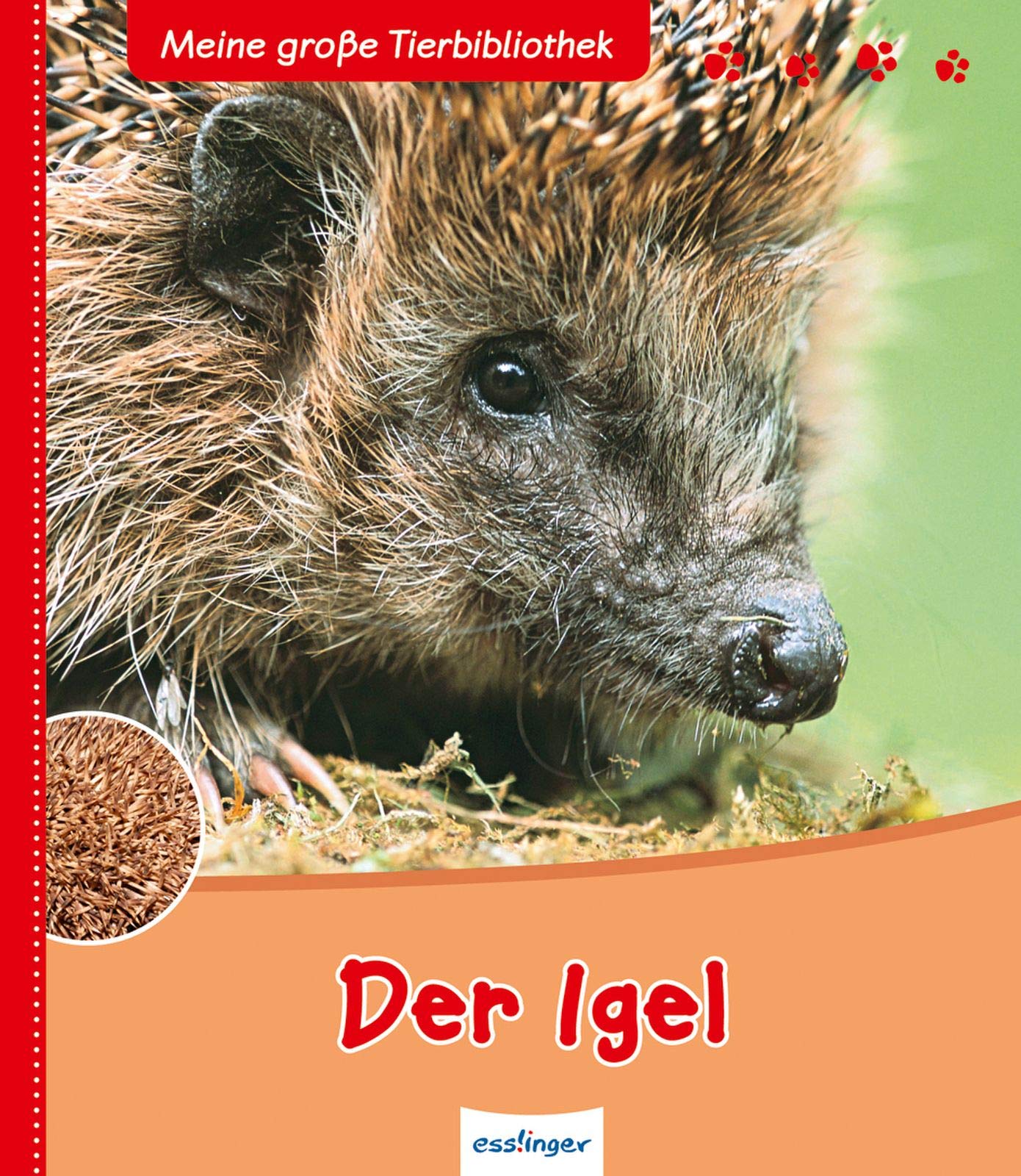 Der Igel Non-fiction books for kids