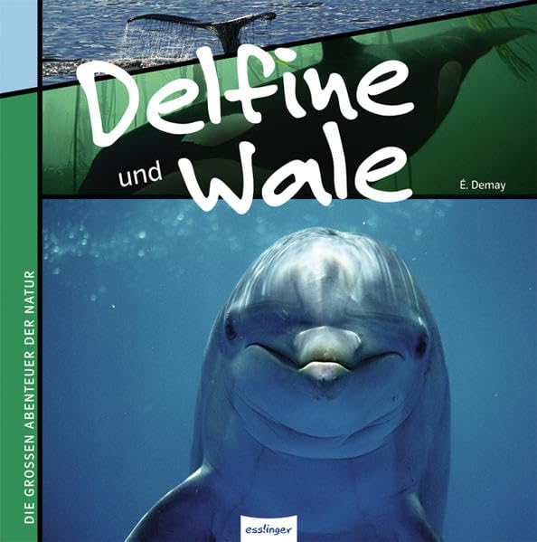 Delfine und Wale: Die großen Abenteuer der Natur Non-fiction