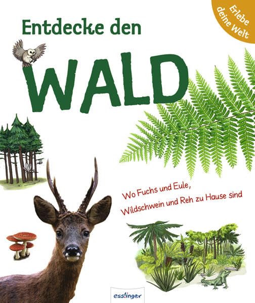 Entdecke den Wald (Erlebe deine Welt) Non-fiction