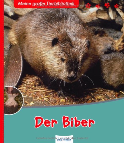 Der Biber (Meine große Tierbibliothek) Non-fiction
