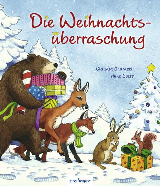 Die Weihnachtsüberraschung Children's books