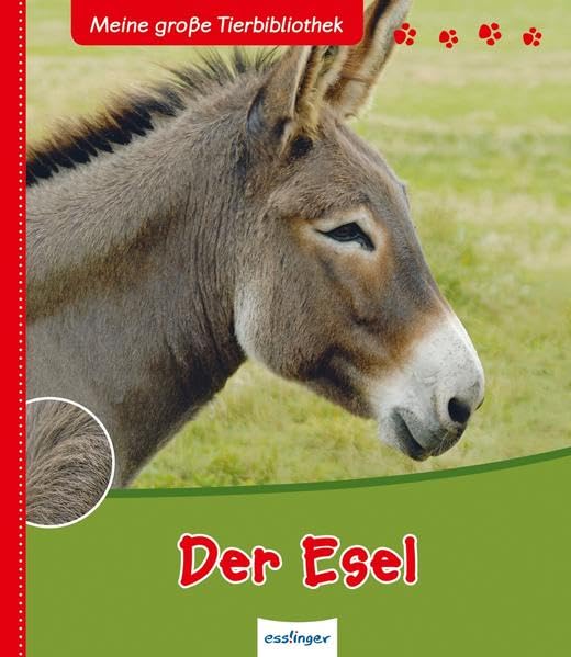 Product Image: Der Esel